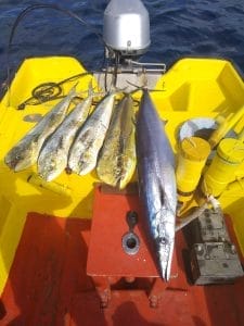 Beste Big Game Vis Charter Curacao 2