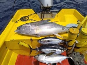 Best Curacao deep-sea fishing charter 4