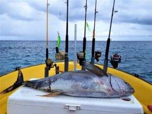 Best Curacao deep-sea fishing charter 5