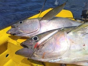 Best Curacao deep-sea fishing charter 6