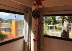 CuracaoFishing where to stay