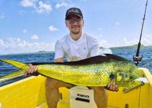 Mahi Mahi juni 2025